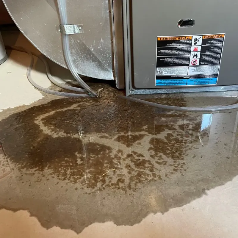 Pipe Burst and Leak Restoration in New River, AZ
